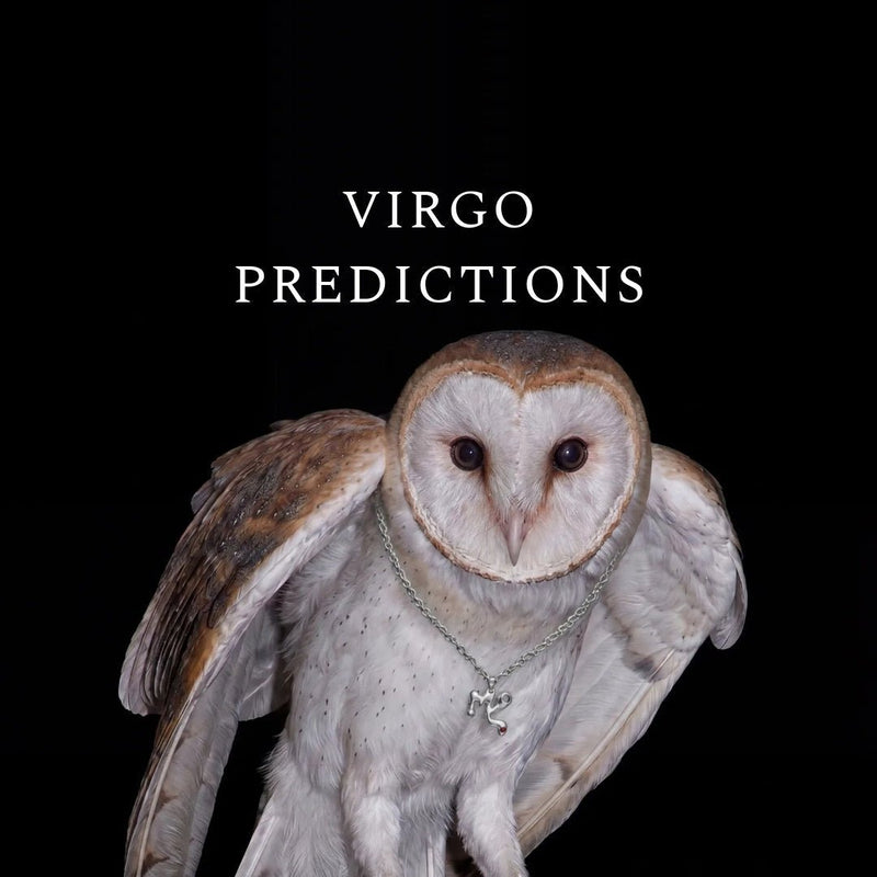 Virgo 2026 º The Work Nobody Claps For - Graedance